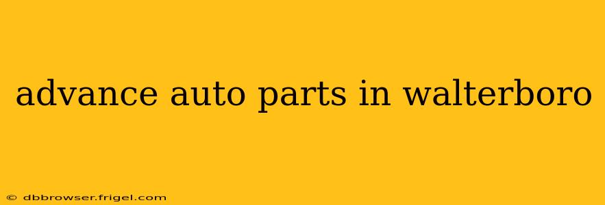 advance auto parts in walterboro