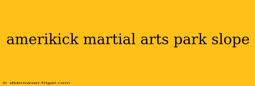 amerikick martial arts park slope