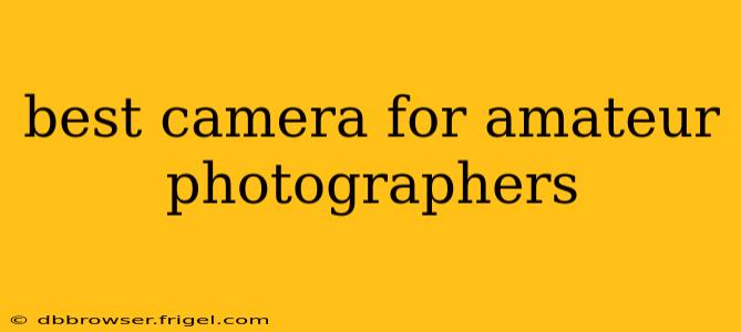 best camera for amateur photographers