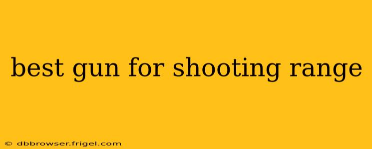 best gun for shooting range