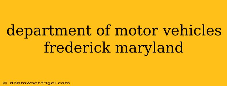 department of motor vehicles frederick maryland