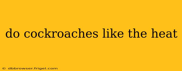 do cockroaches like the heat