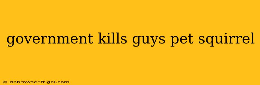 government kills guys pet squirrel