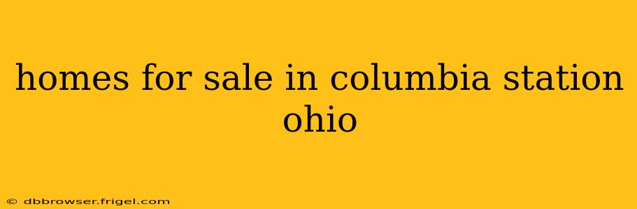 homes for sale in columbia station ohio