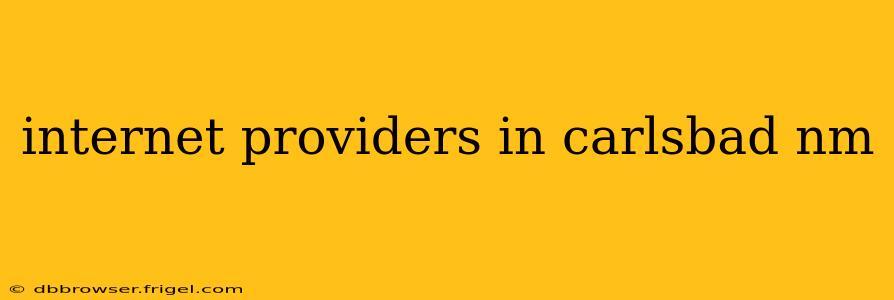internet providers in carlsbad nm