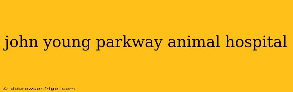john young parkway animal hospital