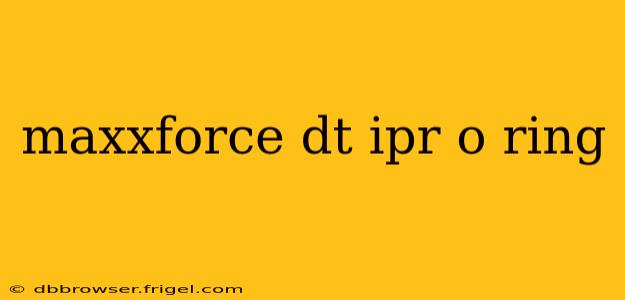 maxxforce dt ipr o ring