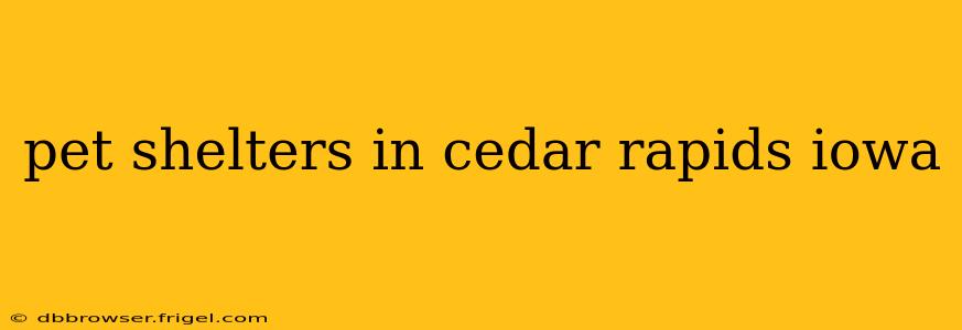 pet shelters in cedar rapids iowa