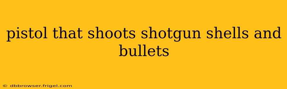 pistol that shoots shotgun shells and bullets
