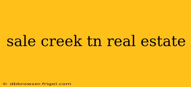 sale creek tn real estate