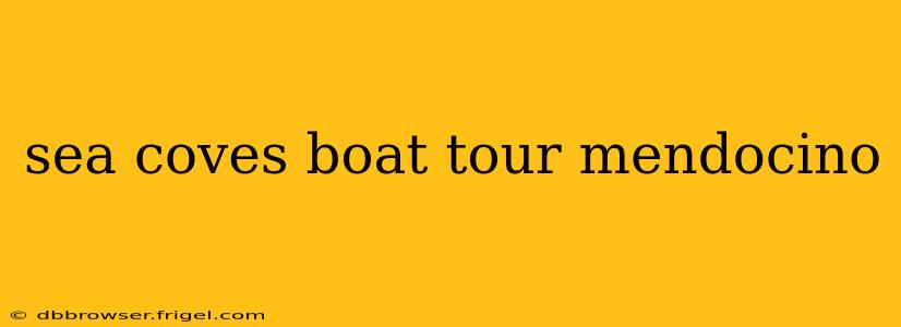 sea coves boat tour mendocino