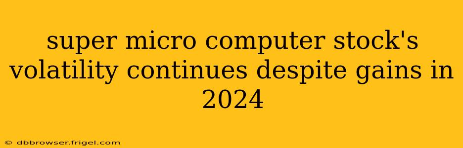 super micro computer stock's volatility continues despite gains in 2024