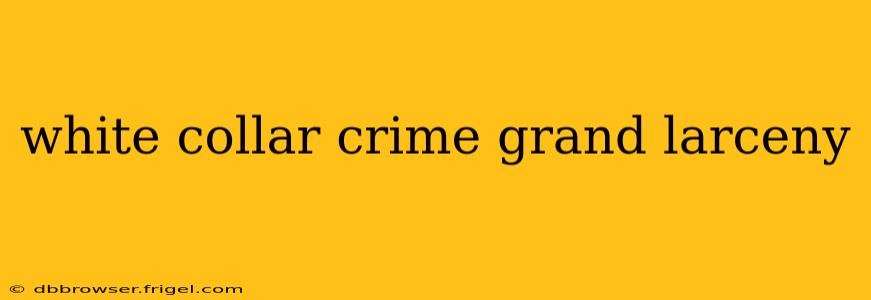 white collar crime grand larceny